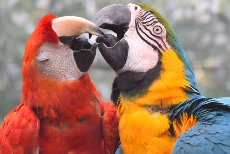Cologne: Cologne Zoo and Aquarium Entry Ticket - Who Will Love This Experience?