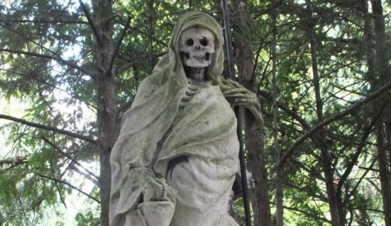 Cologne: Melaten Cemetery Life, Love and Death Tour - Who Should Consider This Tour?