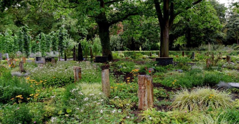 Cologne: Melaten Cemetery with Old Town Private Tour - Key Points
