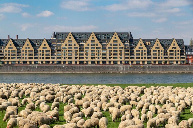 Cologne Private Roundtrip transfer incl. chocolate museum tickets - A Detailed Look at the Cologne Private Day Trip