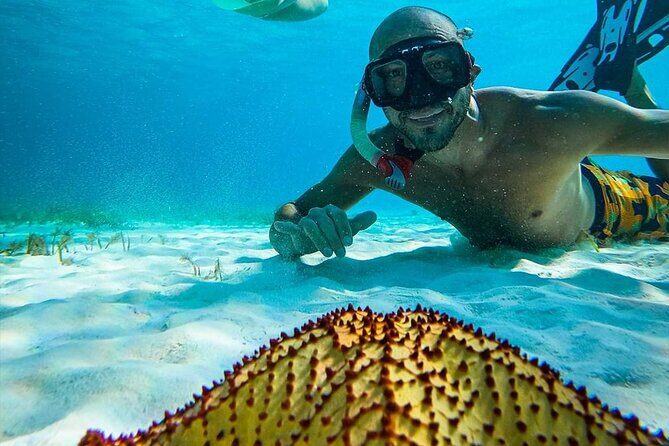 Colombia, Palancar & Cielo Cozumel Snorkel Tour - Practical Considerations & Tips