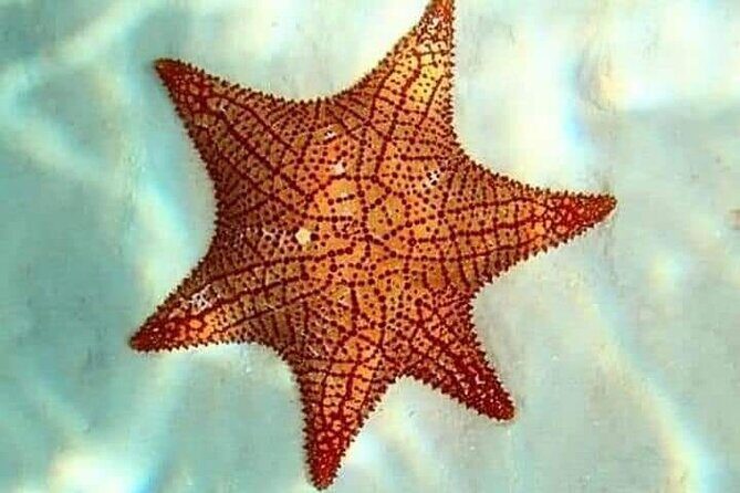 Colombia, Palancar & Cielo Cozumel Snorkel Tour - Frequently Asked Questions