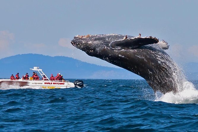 Colombo Airport to Mirissa (private arrival transfer) - Key Points