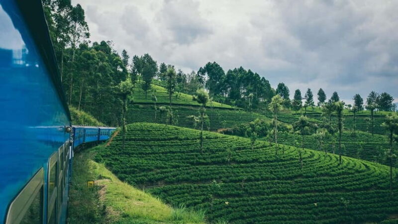 Colombo: All-Inclusive Scenic Train Journey To/From Ella - Additional Details and Considerations