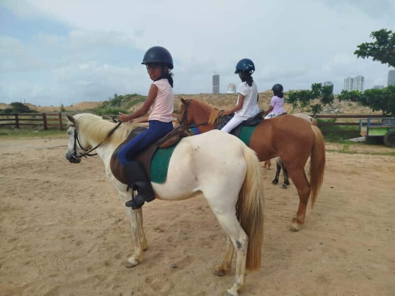 Colombo: Beach Horseback Riding Experience - Colombo: Beach Horseback Riding Experience