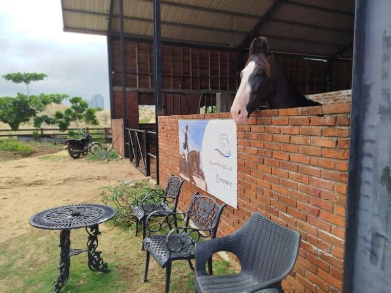 Colombo: Beach Horseback Riding Experience - Key Points