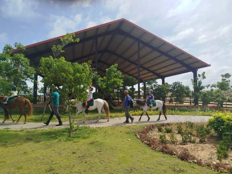 Colombo: Beach Horseback Riding Experience - The Views and Atmosphere
