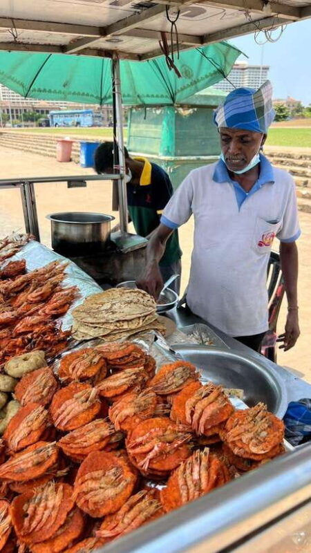 Colombo City Sightseeing Tour By Tuk Tuk with Pick-up & Drop - Final Thoughts