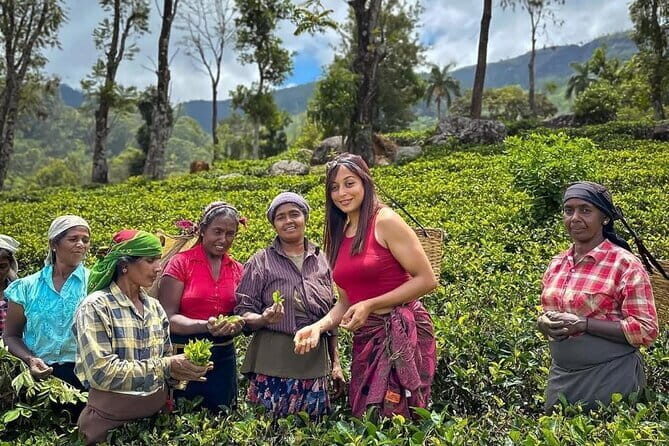 Colombo City Tour With Mahaweli - FAQ