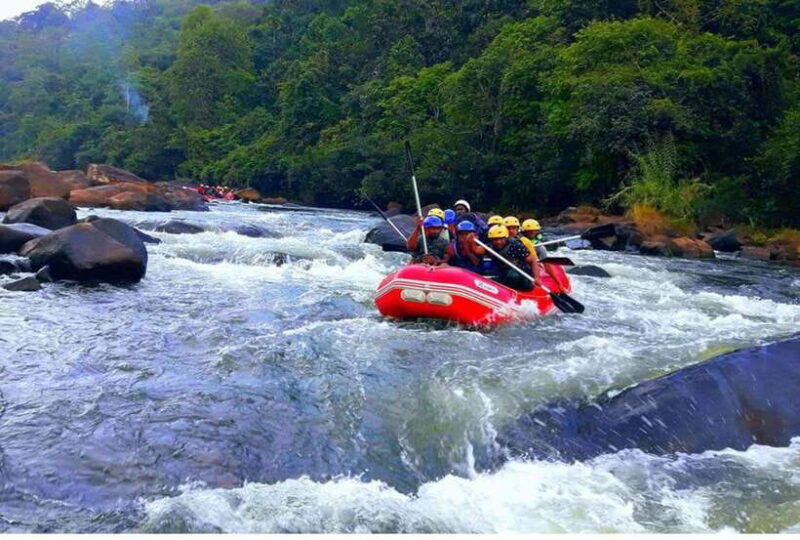 Colombo/ Negombo: Kithulgala White Water Rafting Adventure - The Full Experience: What to Expect from Start to Finish