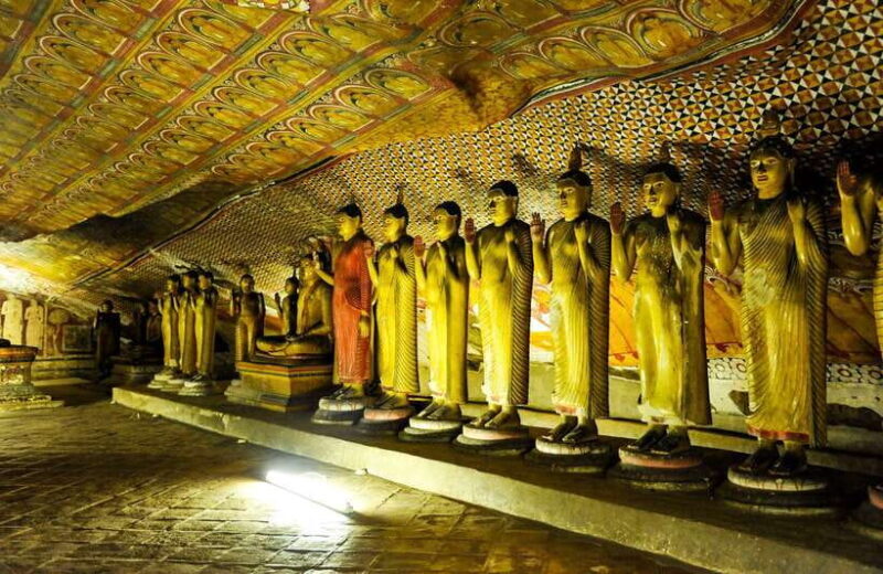 Colombo/Negombo: Sigiriya, Dambulla, and Minneriya Safari - In-Depth Review: Exploring Sri Lanka’s Highlights in a Day