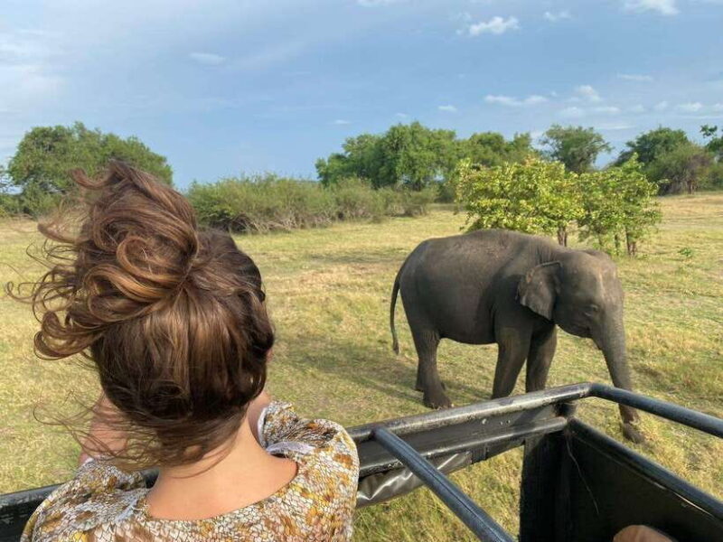 Colombo-Negombo : Sigiriya & Dambulla Cave Full-Day Tour - Exploring the Experience: What’s Included and What to Expect