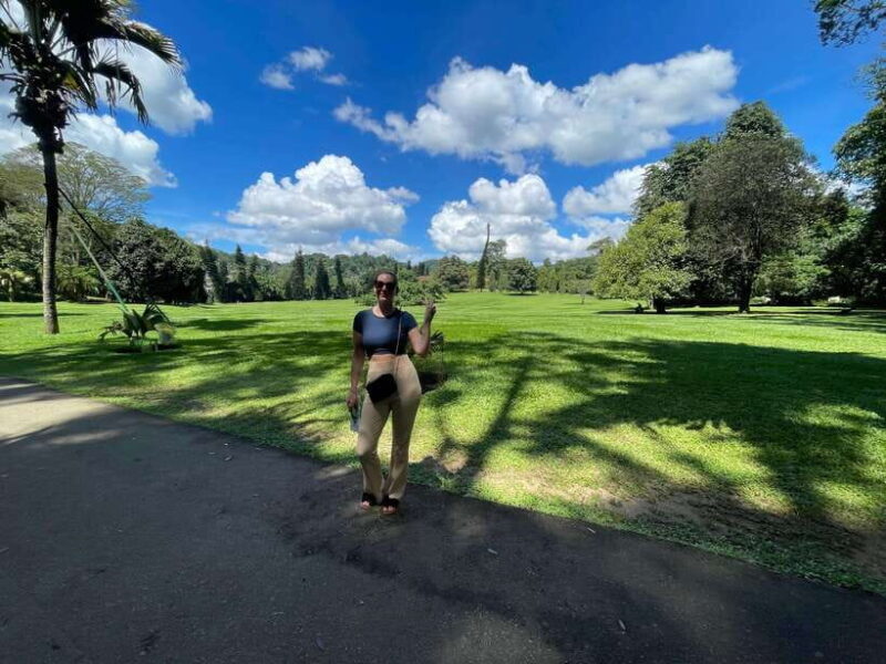 Colombo/Negombo: Sigiriya, Kandy, Ella 3-Day Trip with Train - Who Will Love This Tour?