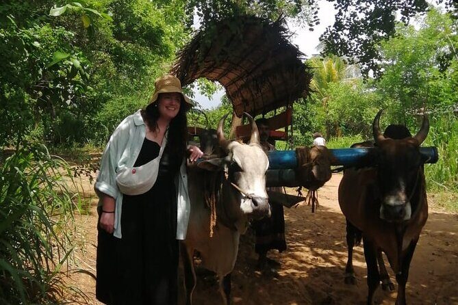 Colombo , Negombo to Trincomalee Transfer and Safari - The Sum Up: Is This the Right Tour for You?