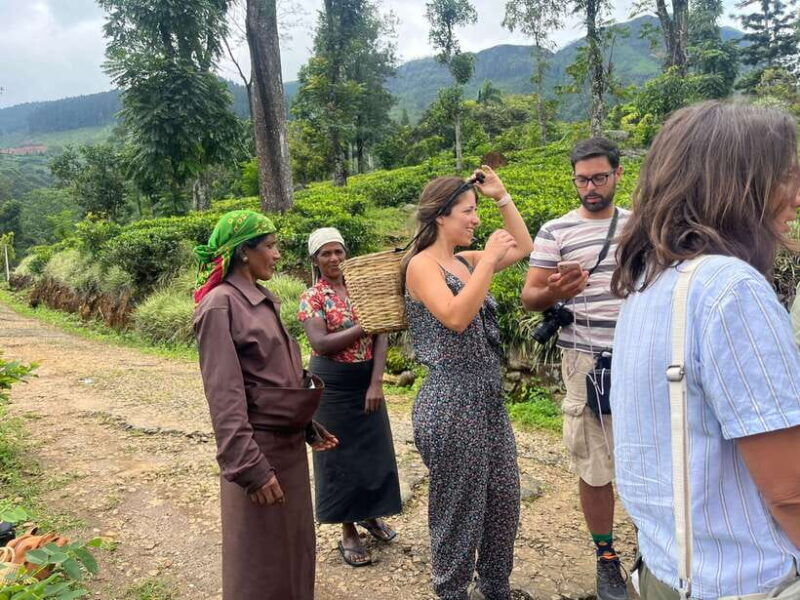 Colombo: Nuwara Eliya: Tea Gardens,Colonial Charm & High Tea - Who Should Consider This Tour?