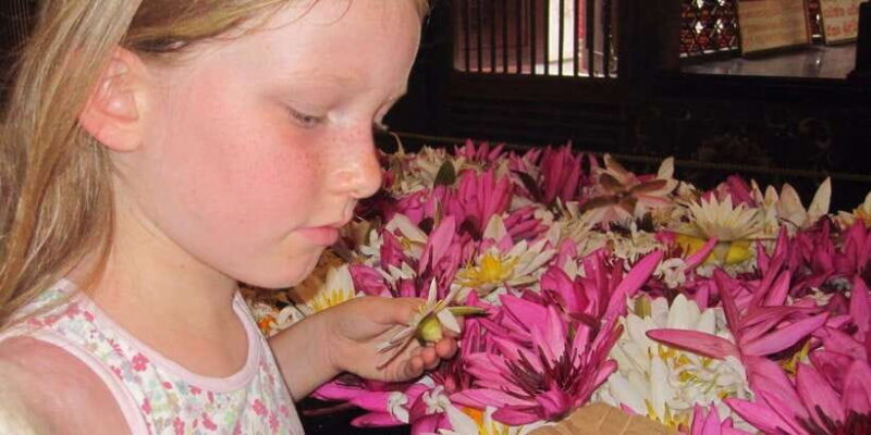 Colombo: Pinnawala Orphanage, Kandy Temple of Tooth day trip - Optional Stops: Tea and Spices