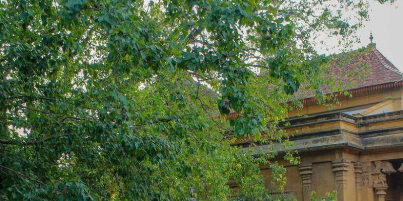 Colombo Port Shore Excursions Colombo City & Kalaniya Temple - Key Points