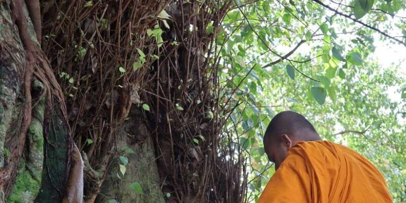 Colombo Port Shore Excursions Colombo City & Kalaniya Temple - Analyzing the Value