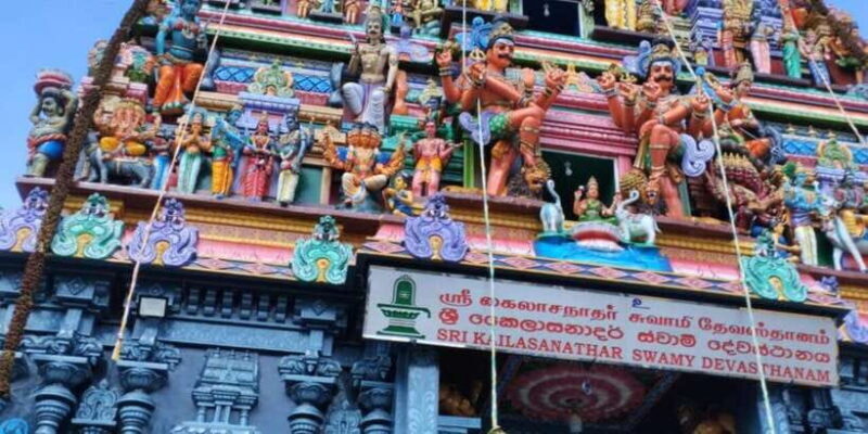 Colombo Port Shore Excursions Colombo City & Kalaniya Temple - Who Will Enjoy This Tour?