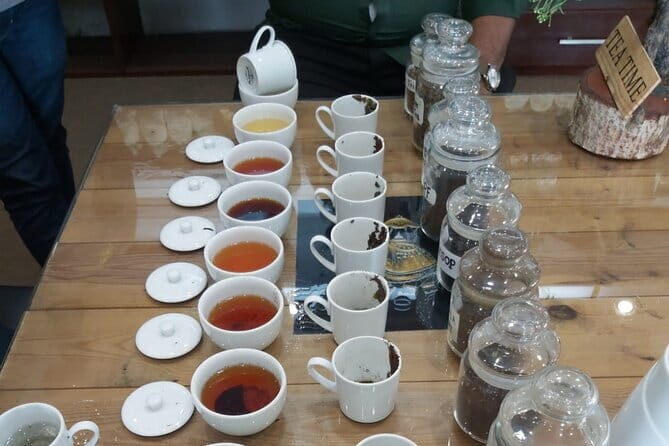 Colombo Private City Tour by Tuk Tuk - In-Depth Review of the Colombo Private City Tour by Tuk Tuk