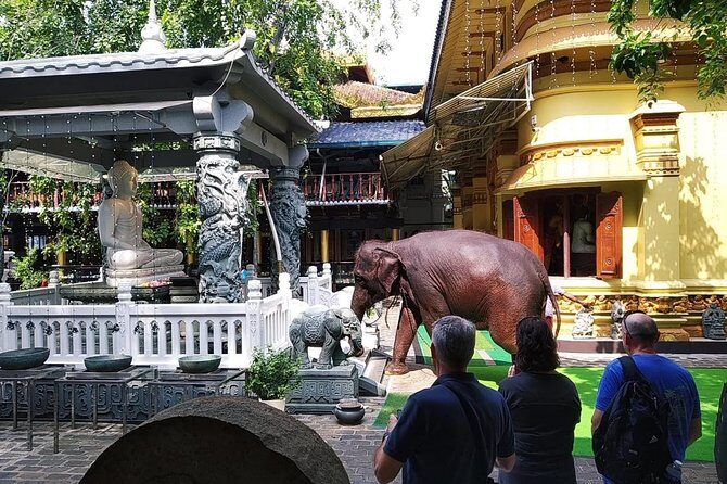 Colombo private City Tour by TukTuk Experience Morning or Evening - FAQ