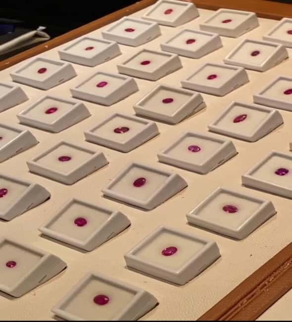 Colombo: Shore Excursion Gem Shopping Tour - Who Will Enjoy This Tour?