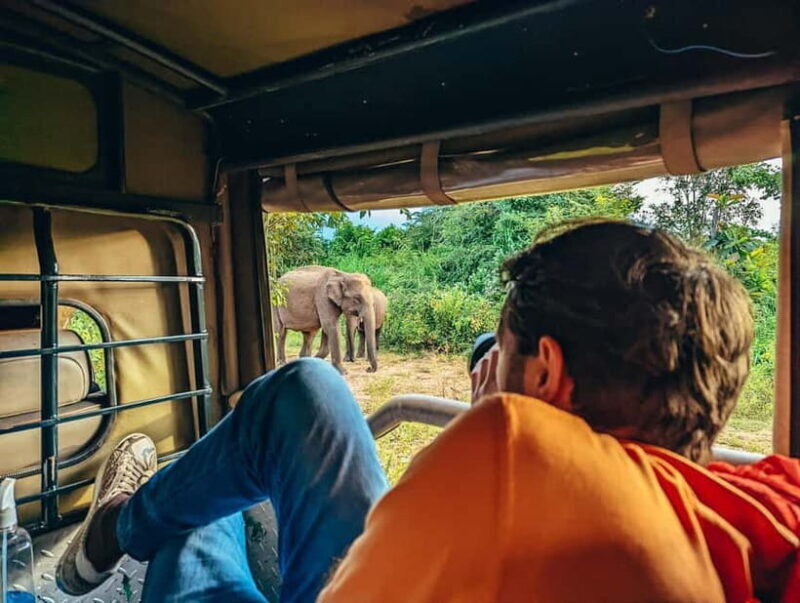 Colombo: Sigiriya Rock, Dambulla & Jeep Safari All Inclusive - What Does It All Cost and What Do You Get?