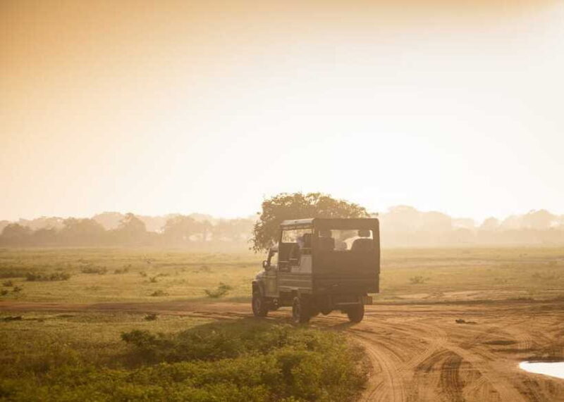 Colombo: Sri Lanka Cultural Triangle Hotspots 2-Day Tour - Final Thoughts