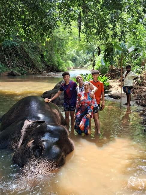 Colombo To Pinnawala & Kandy Luxury Day Tour by Car/Van/Bus - Key Points