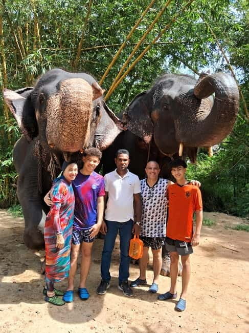 Colombo To Pinnawala & Kandy Luxury Day Tour by Car/Van/Bus - The Full Experience: What to Expect on Your Day Tour