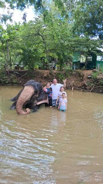 Colombo To Pinnawala & Kandy Luxury Day Tour by Car/Van/Bus - Frequently Asked Questions