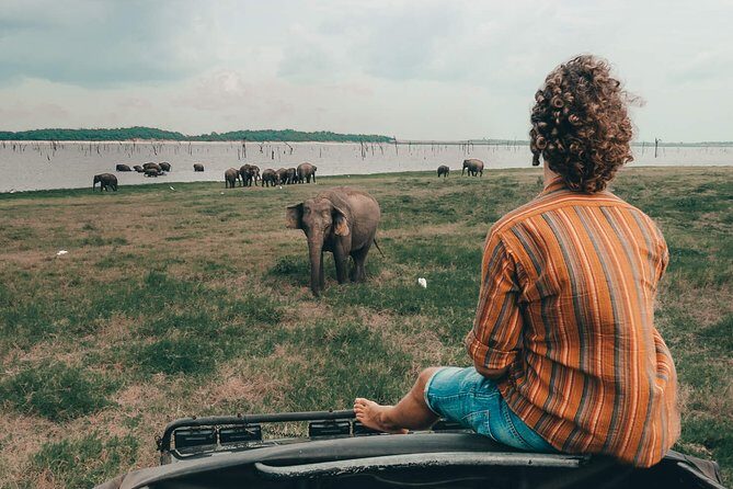 Colombo to Trincomalee Shuttle & Safari Drive - Key Points