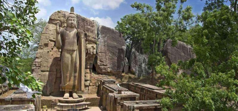 Colombo:Anuradhapura & Wilpattu Safari All Inclusive Tour - Journey into the Wilderness: Wilpattu National Park Safari