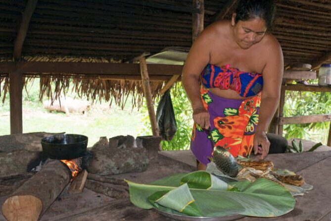 Colon Panama: Embera Indians and Miraflores Locks - Detailed Analysis of the Itinerary