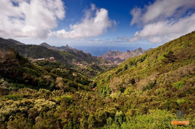 Colon Skies - Discover La Gomera: An Authentic Day of History and Nature