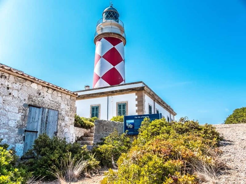 Colonia Sant Jordi: Classic & Express Boat Tour to Cabrera - Who Would Love This Tour?
