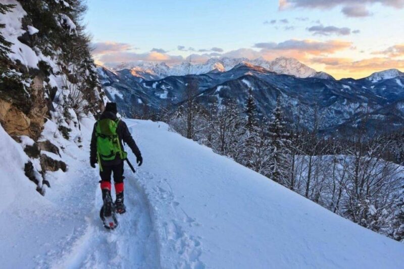 Colorado Backcountry: Guided Snowshoe Tour - Pricing, Value, and Practical Tips