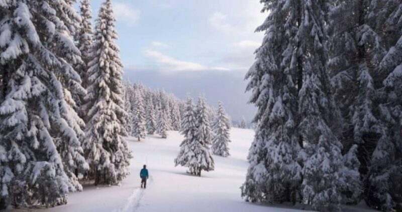 Colorado Backcountry: Guided Snowshoe Tour - Who Should Consider This Tour?
