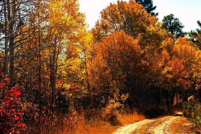 Colorado Peak-to-Peak Tour (Fall-Color-Extravaganza) - Who Will Love This Tour?