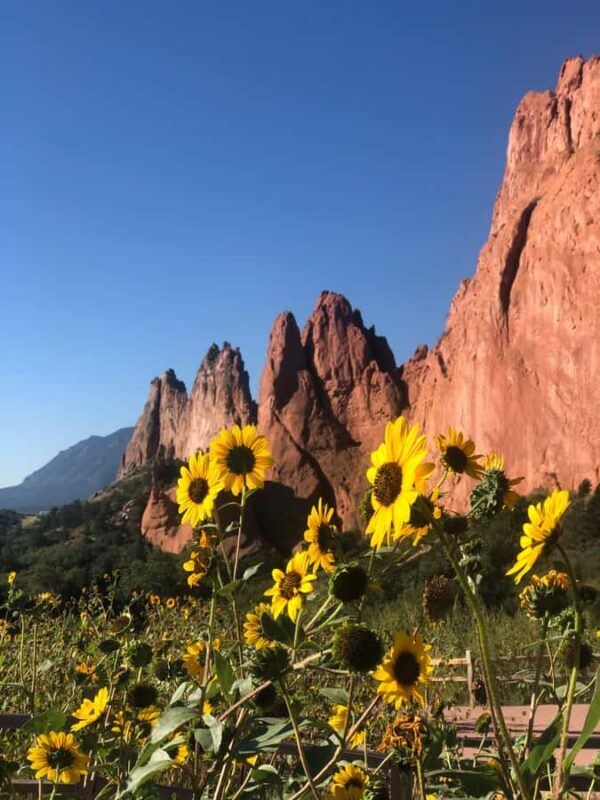 Colorado Springs: Garden of the Gods & Historic Town Tour - The Sum Up