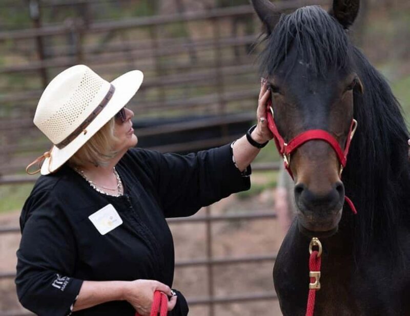 Colorado Springs: Mindfulness with Rescue Mustangs - Is This Experience for You?