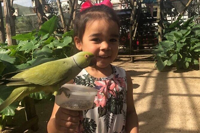 Colorful Species Of Birds - Exploring the Itinerary in Detail