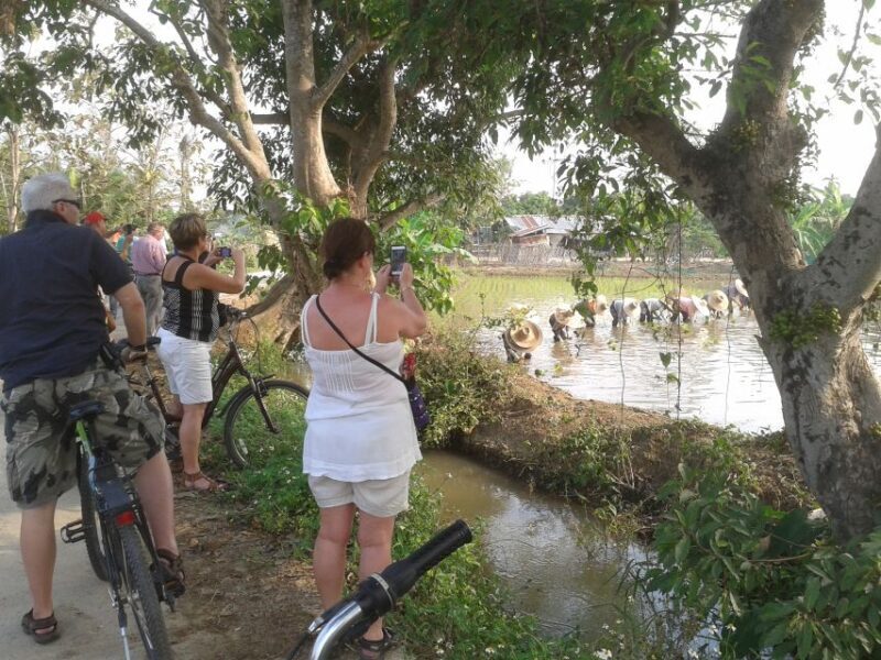 Colors of Chiang Mai Guided Bicycle Tour - Exploring Chiang Mai on Two Wheels: A Deep Dive into the Tour Experience