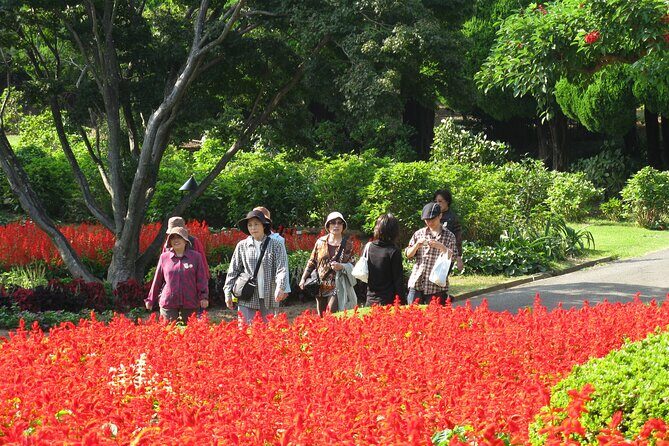Colors of Japan, Fukuoka Nokonoshima Island Park & Wagyu BBQ - Exploring Nokonoshima Island Park: A Feast for the Senses