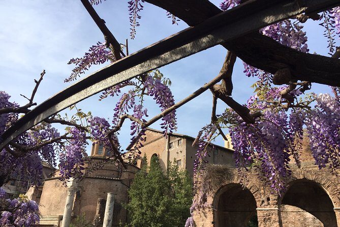 Colosseum and Ancient Rome - private tour - Who Should Consider This Tour?