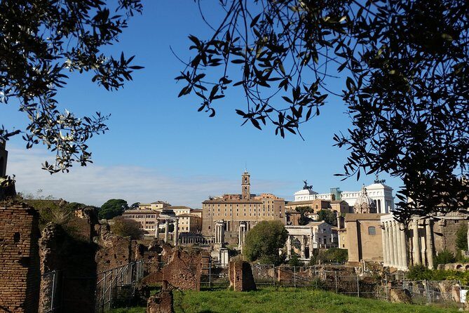 Colosseum and Roman Forum Private Tour led by an archaeologist - Final Thoughts