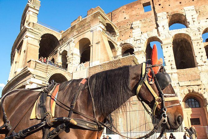 Colosseum Arena floor & Ancient Rome Tour for kids and Families - Who Should Consider This Tour?