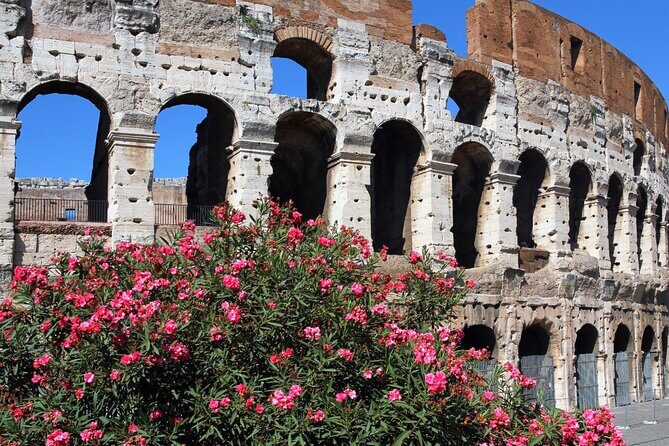 Colosseum Express Tour - Exploring the Tour Itinerary