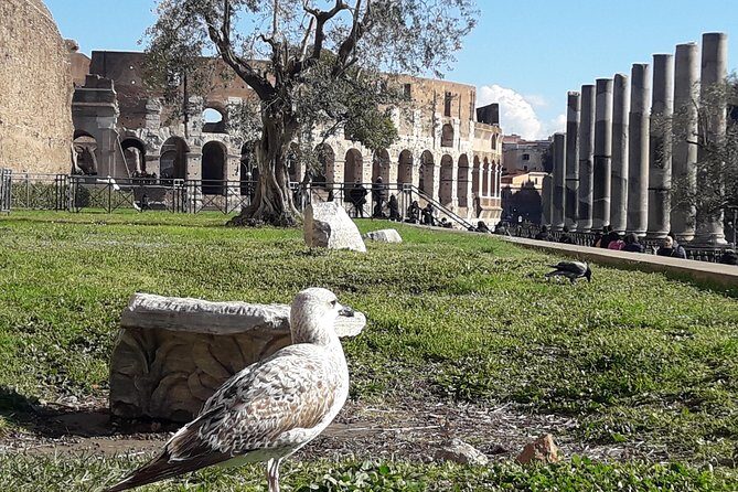 Colosseum, Roman Forum, Palatine - Exclusive Private Tour - The Practical Side: What’s Included and What’s Not