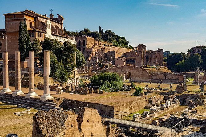 Colosseum, Roman Forum,& Palatine Hill private tour - Who Should Consider This Tour?